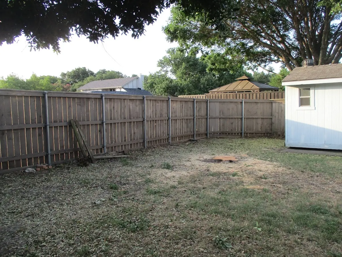 Cleared yard after professional tree removal in Nebraska City